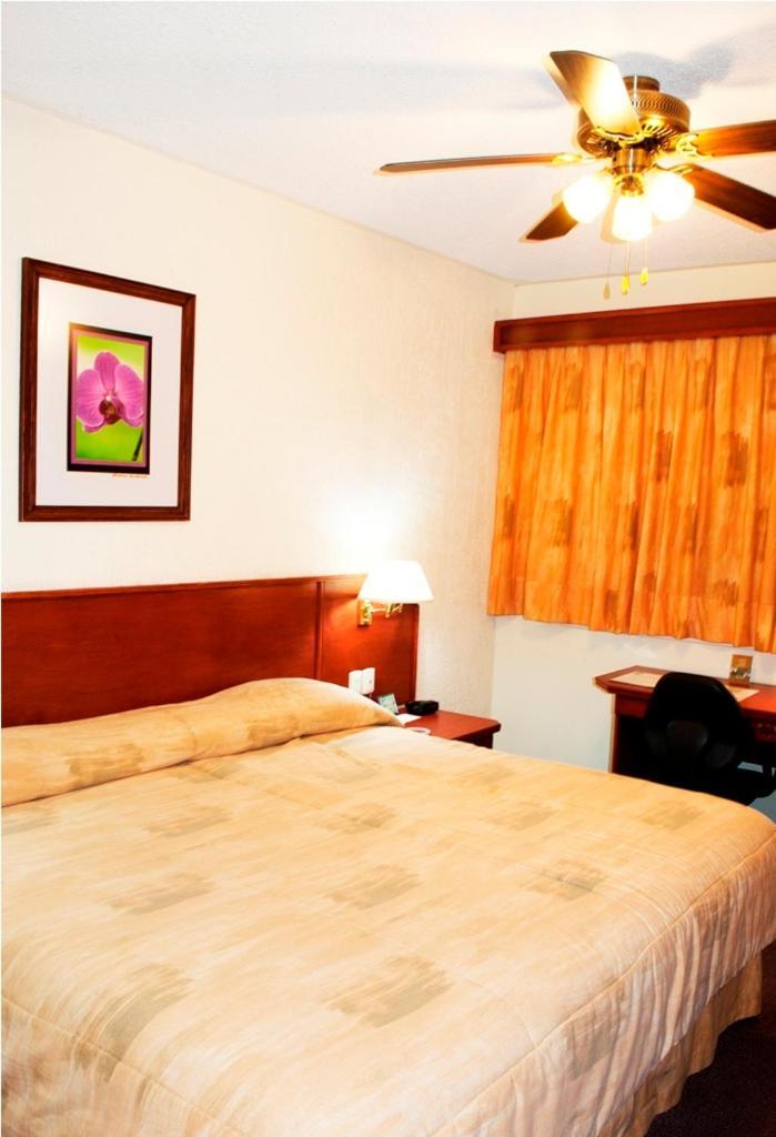 Hotel Marcella Clase Ejecutiva Morelia Kültér fotó